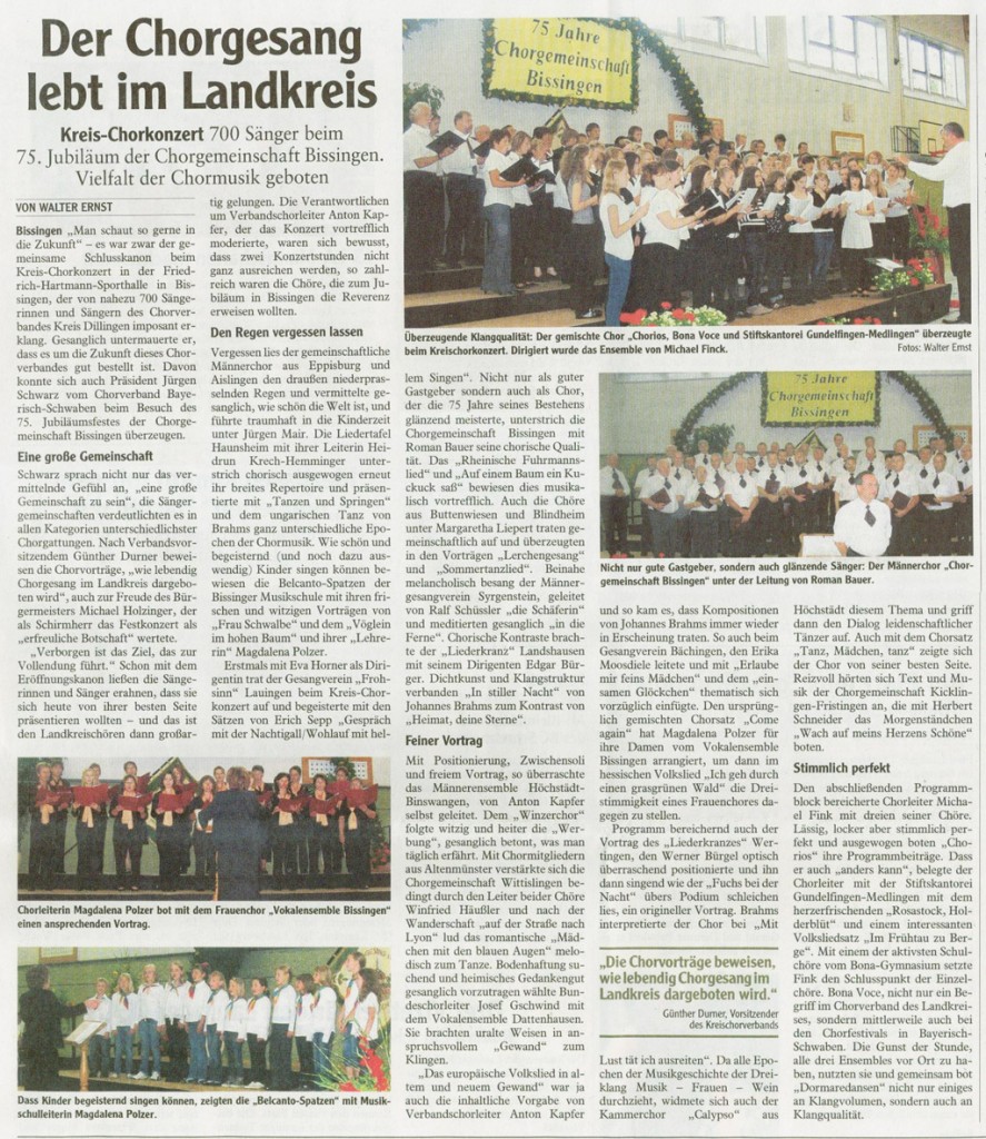 zeitung-bissingen-2008